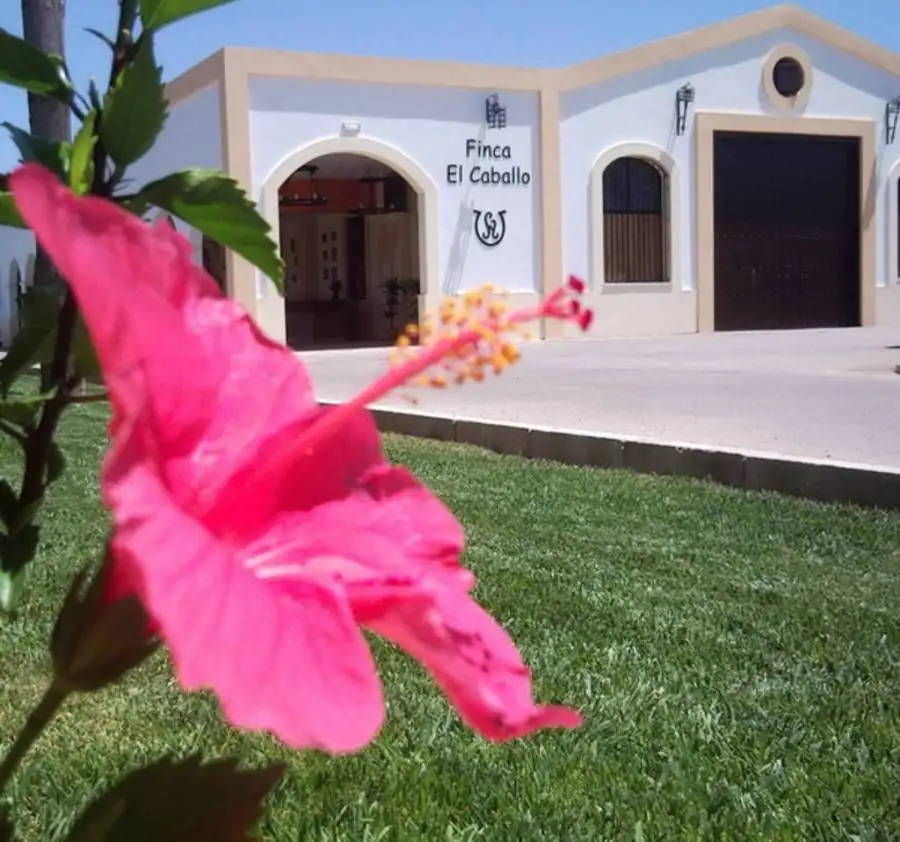 Un hibisco rosa en primer plano y, detrás, la fachada blanca y arena con el rótulo Finca El Caballo