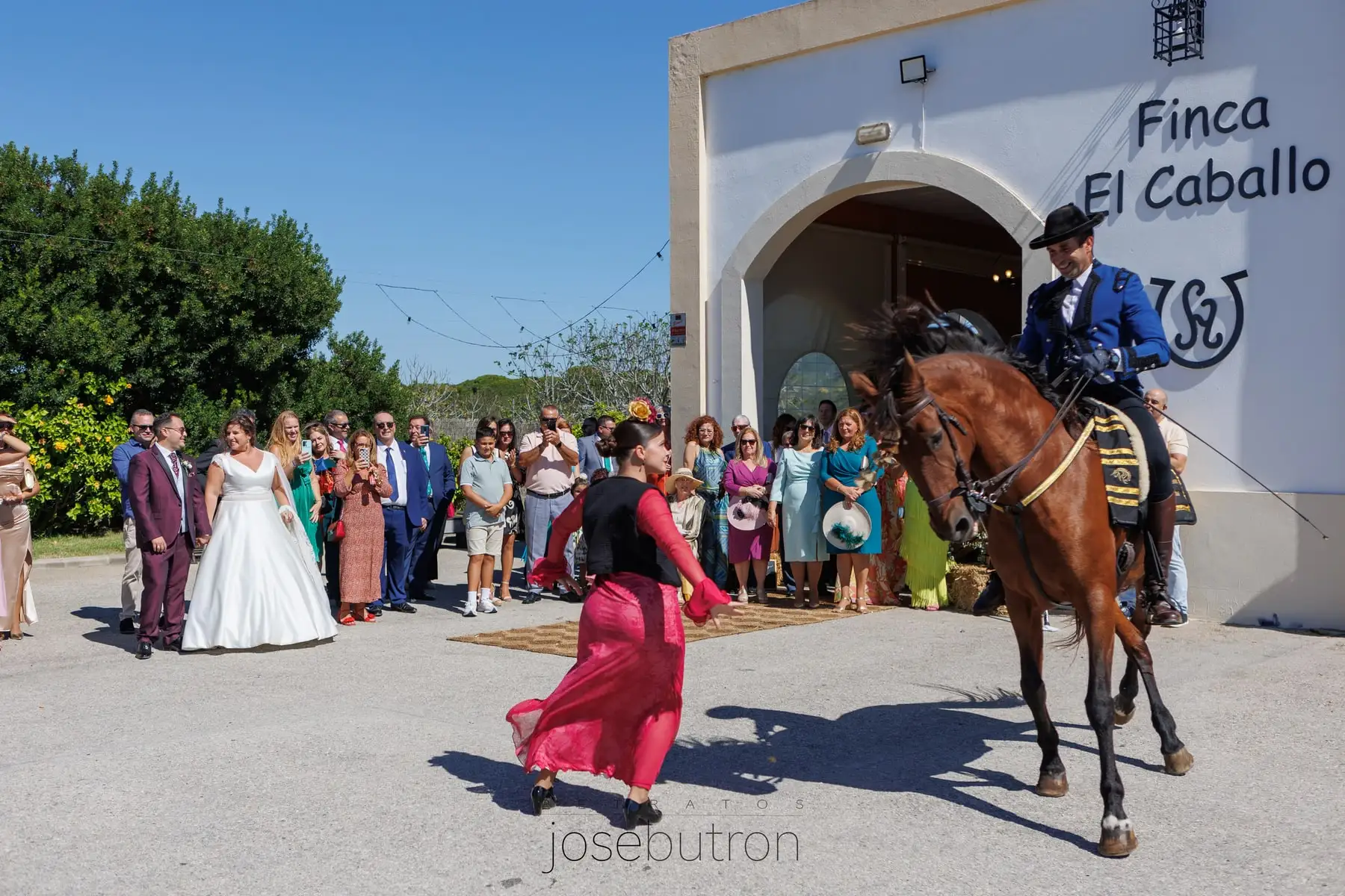 Los novios miran cómo un jinete de traje corto avanza a caballo hacia el arco de la entrada, con una bailaora delante y los invitados a un lado